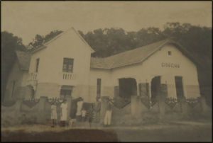 limoeiro